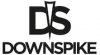 DS logo and text.jpg